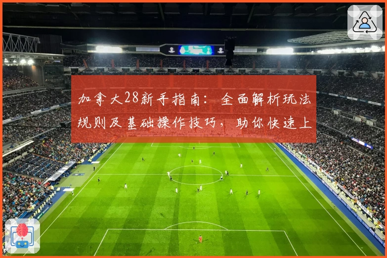 加拿大28新手指南：全面解析玩法规则及基础操作技巧，助你快速上手