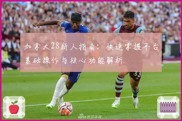 加拿大28新人指南：快速掌握平台基础操作与核心功能解析