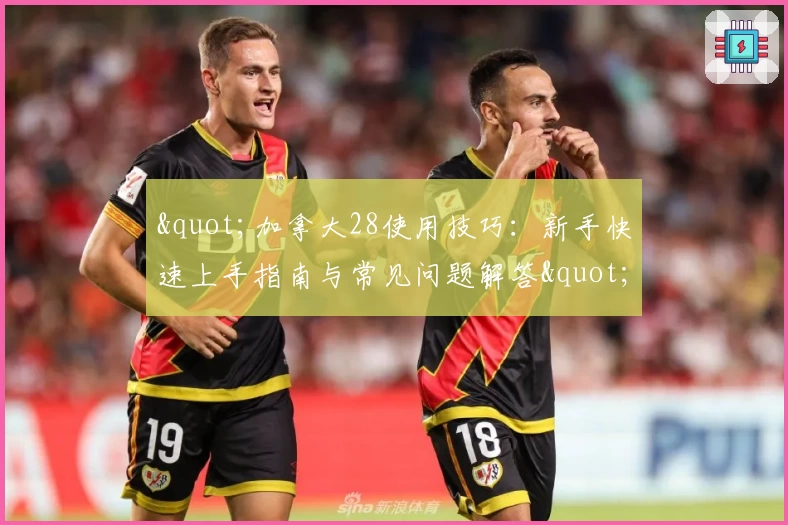 "加拿大28使用技巧：新手快速上手指南与常见问题解答"