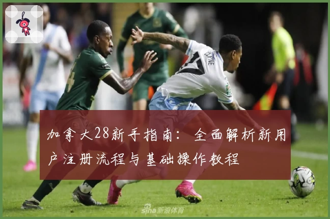 加拿大28新手指南：全面解析新用户注册流程与基础操作教程