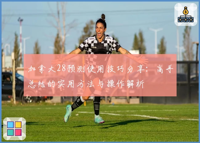 加拿大28预测使用技巧分享：高手总结的实用方法与操作解析