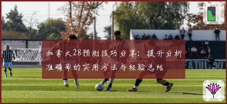 加拿大28预测技巧分享：提升分析准确率的实用方法与经验总结