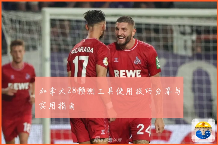 加拿大28预测工具使用技巧分享与实用指南