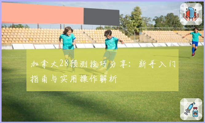 加拿大28预测技巧分享：新手入门指南与实用操作解析