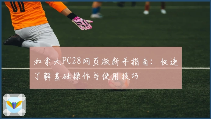 加拿大PC28网页版新手指南：快速了解基础操作与使用技巧