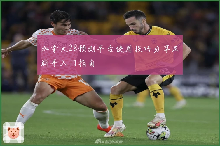 加拿大28预测平台使用技巧分享及新手入门指南