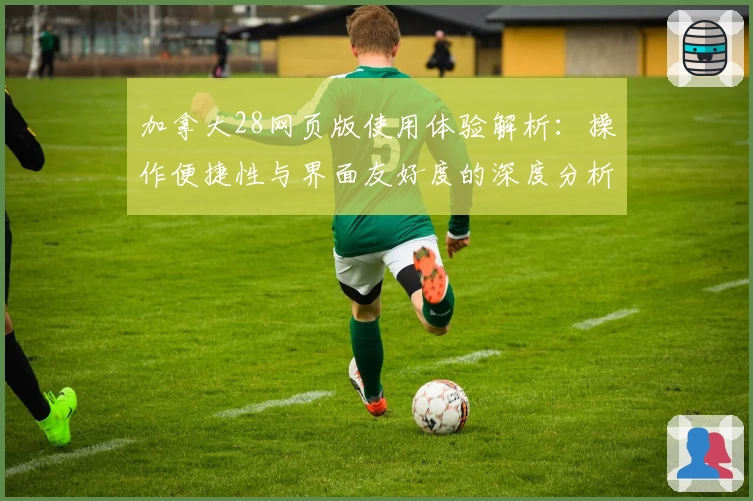 加拿大28网页版使用体验解析：操作便捷性与界面友好度的深度分析