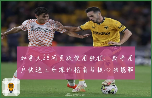 加拿大28网页版使用教程：新手用户快速上手操作指南与核心功能解析