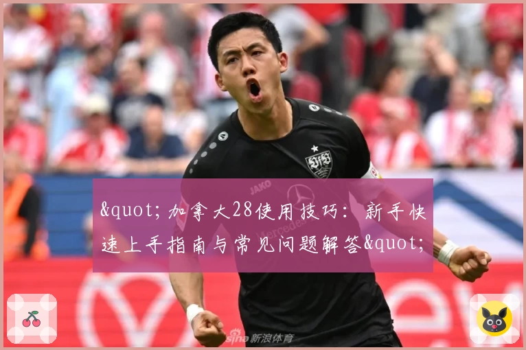 "加拿大28使用技巧：新手快速上手指南与常见问题解答"