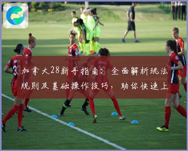 加拿大28新手指南：全面解析玩法规则及基础操作技巧，助你快速上手