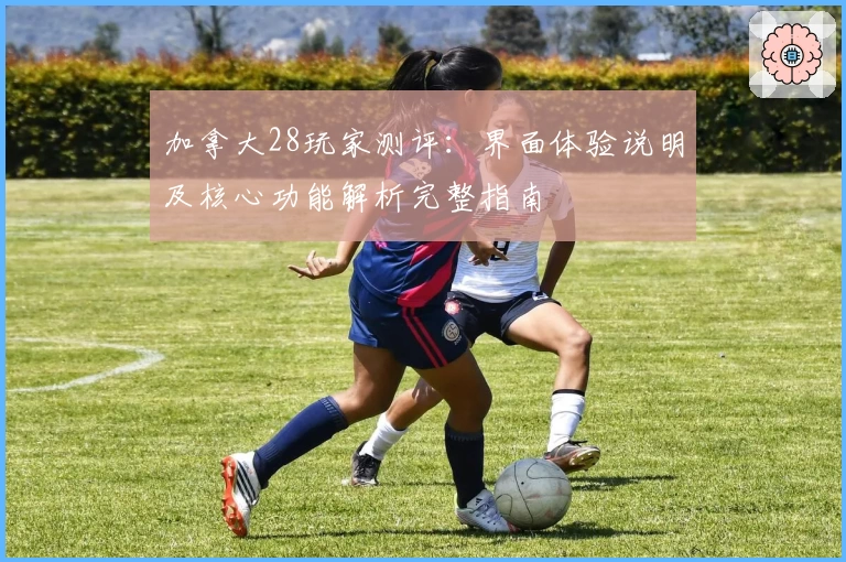 加拿大28玩家测评：界面体验说明及核心功能解析完整指南