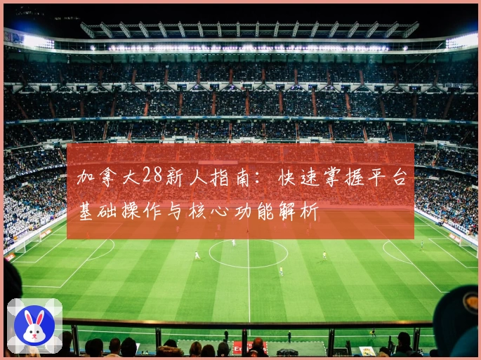 加拿大28新人指南：快速掌握平台基础操作与核心功能解析
