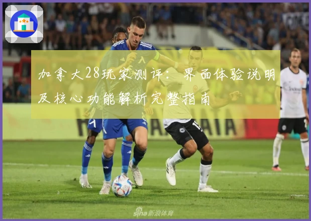 加拿大28玩家测评：界面体验说明及核心功能解析完整指南